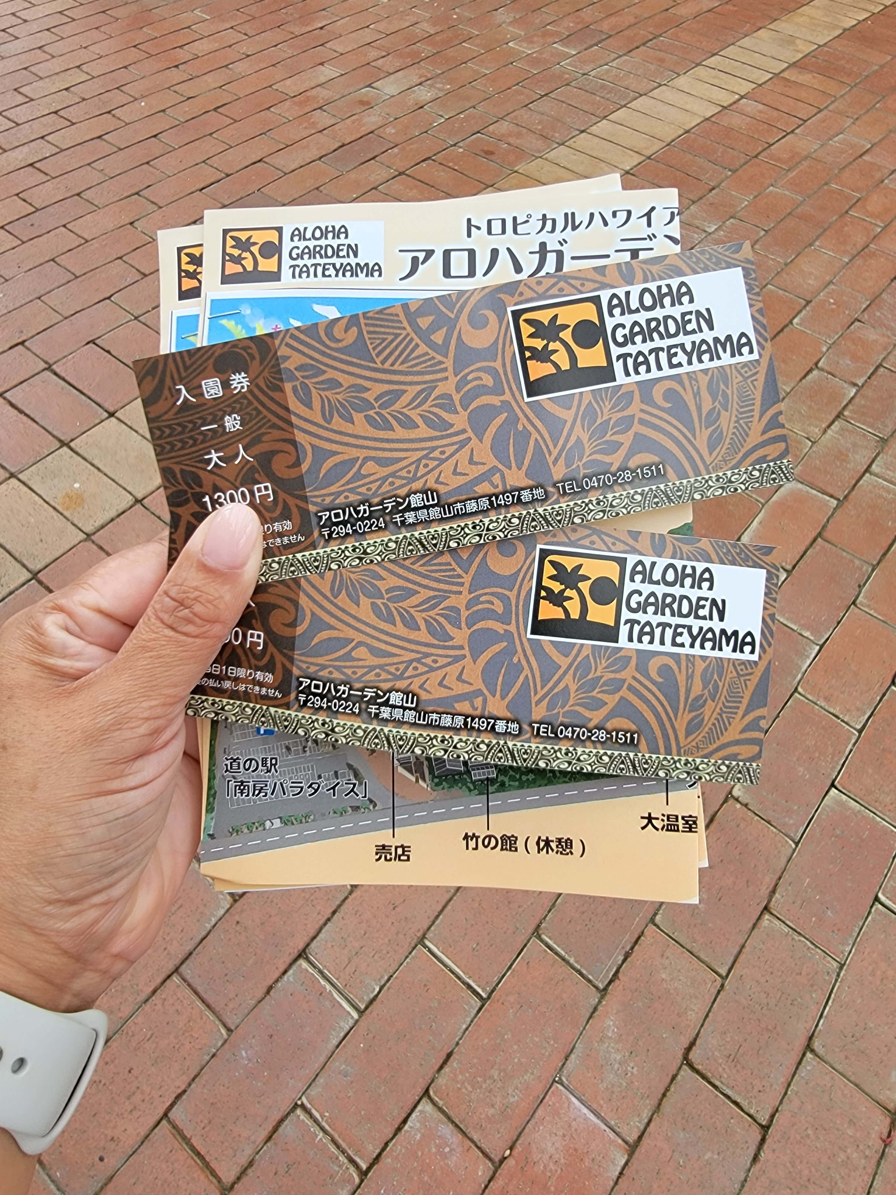 Aloha Garden Tateyama: o Havaí escondido no Japão
