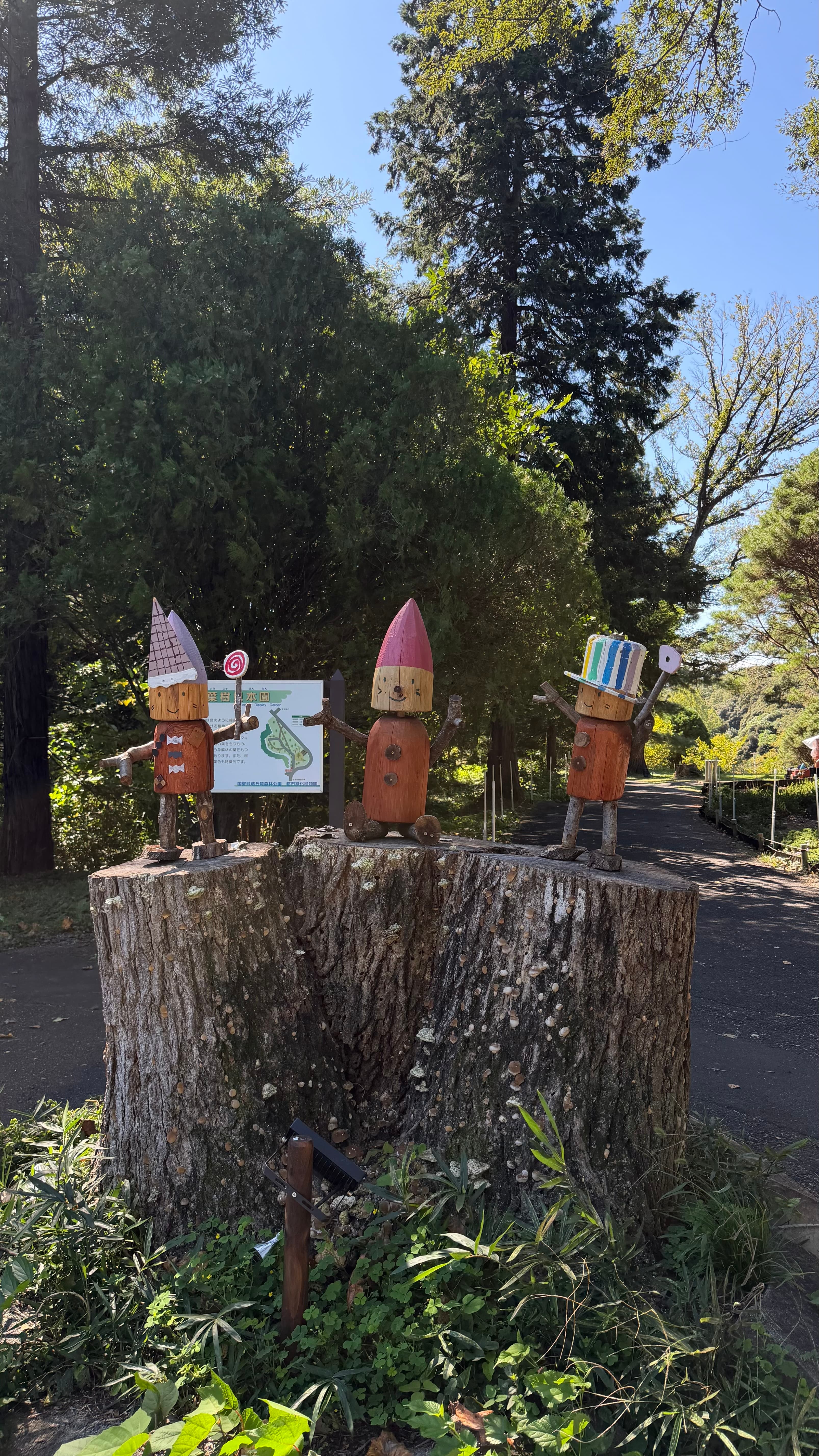 Musashi-Kyuryo National Government Park - foto 4