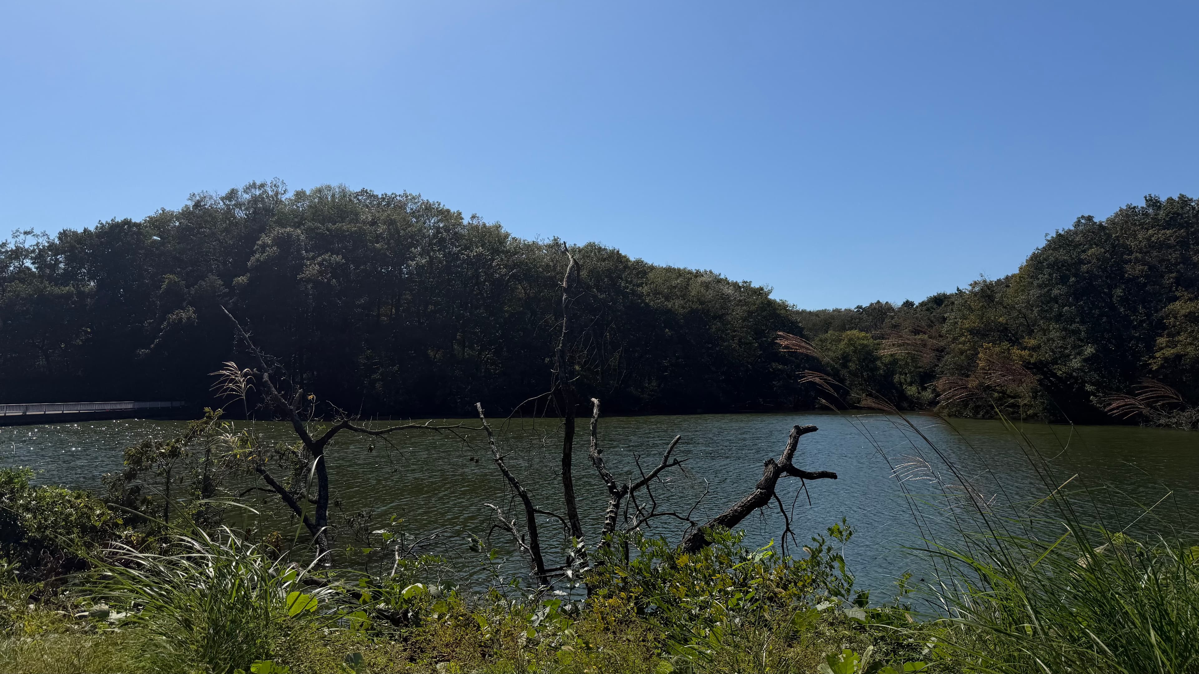 Musashi-Kyuryo National Government Park - foto 16