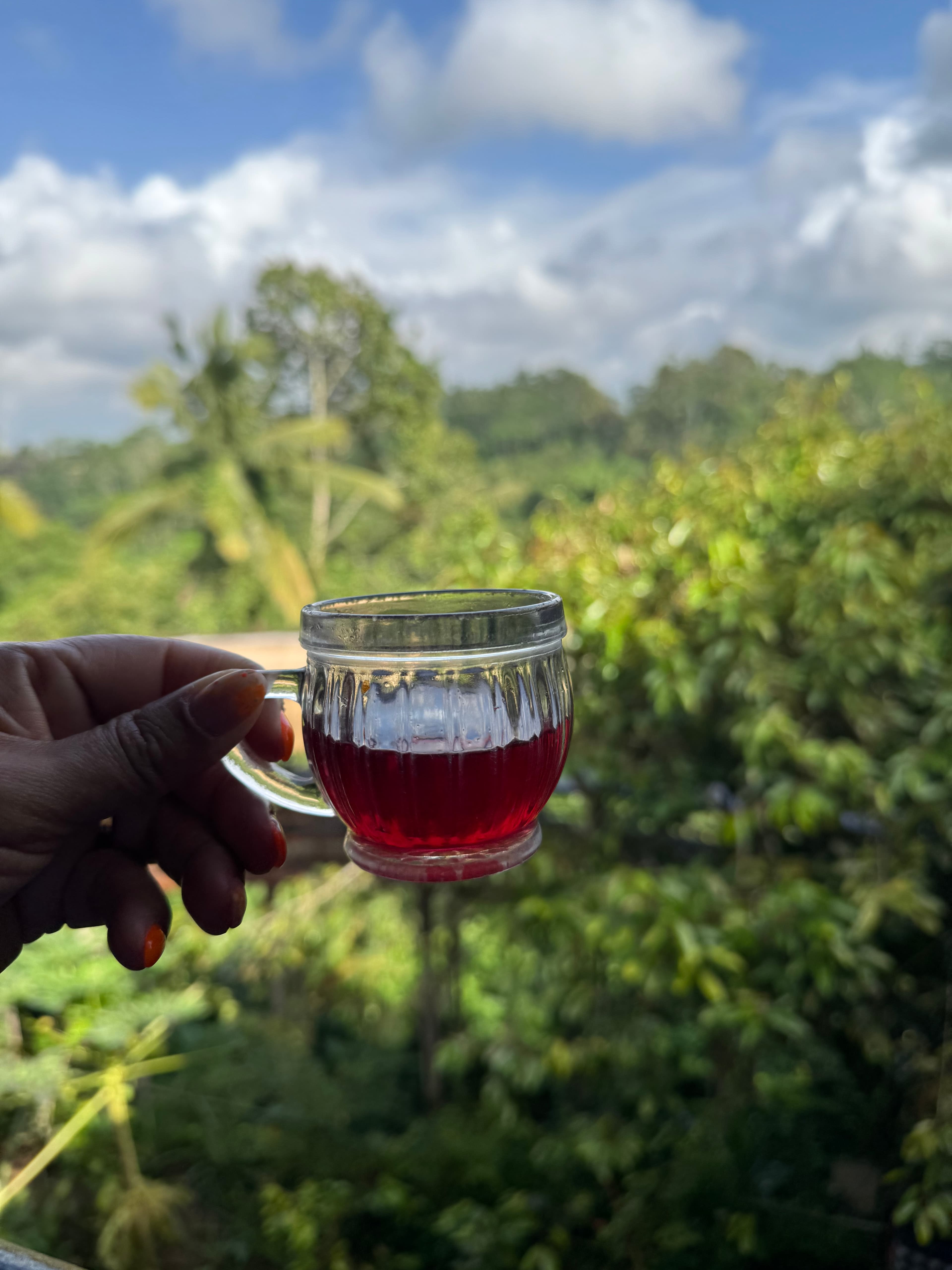 Manukaya - foto 4