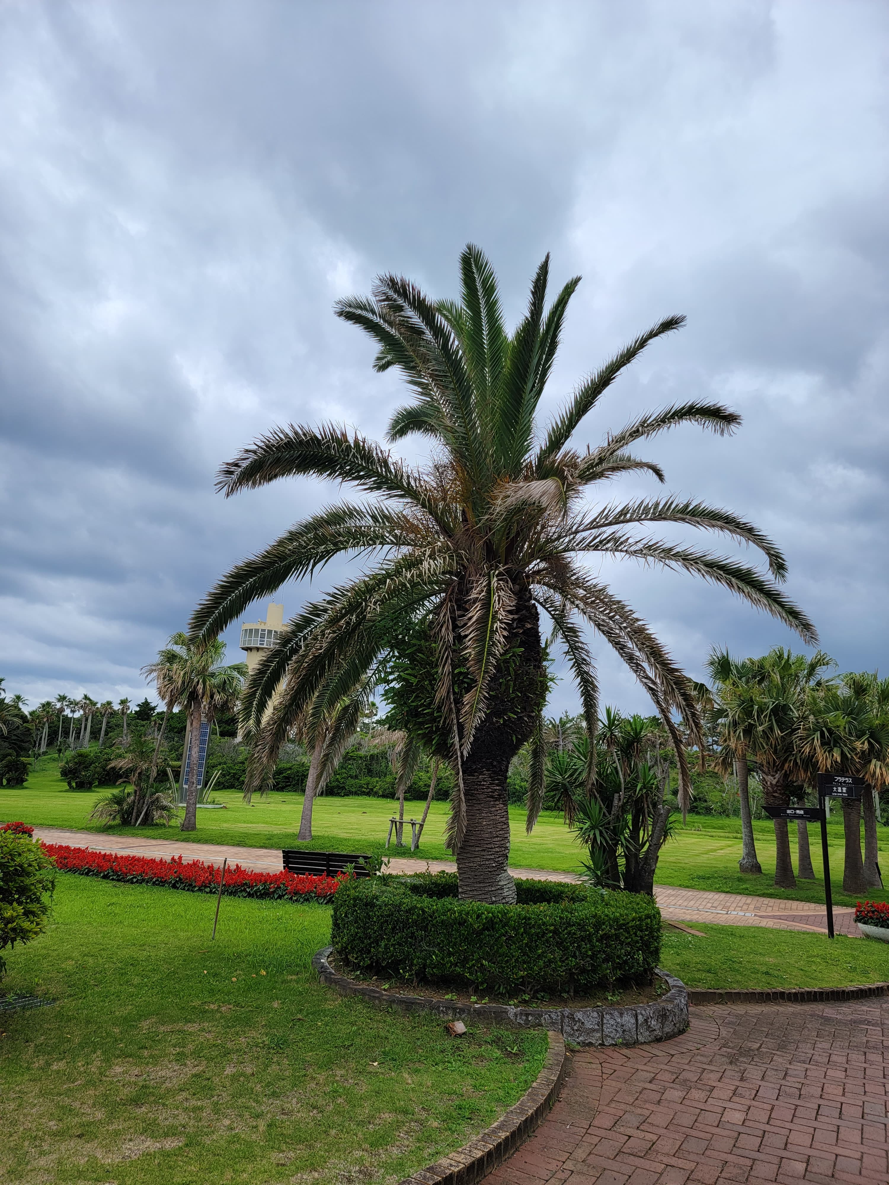 Tateyama Aloha Garden - foto 4